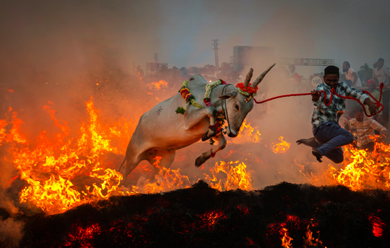 Лучшие фото недели