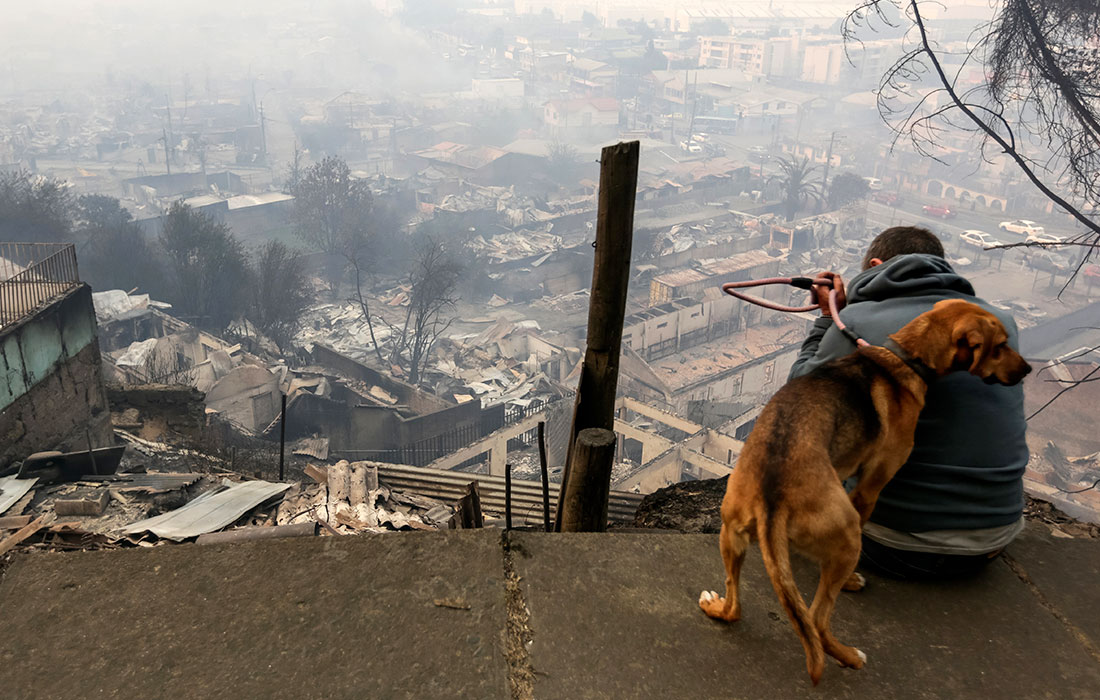 Как минимум 18 человек погибли в результате лесных пожаров в Чили