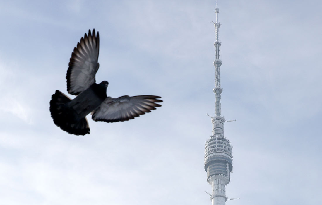 Останкинская телебашня покрылась инеем