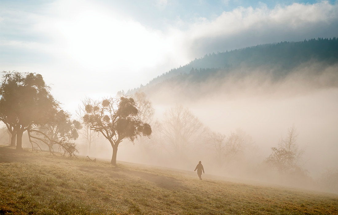 Зимняя погода в немецком Баден-Вюртемберге
