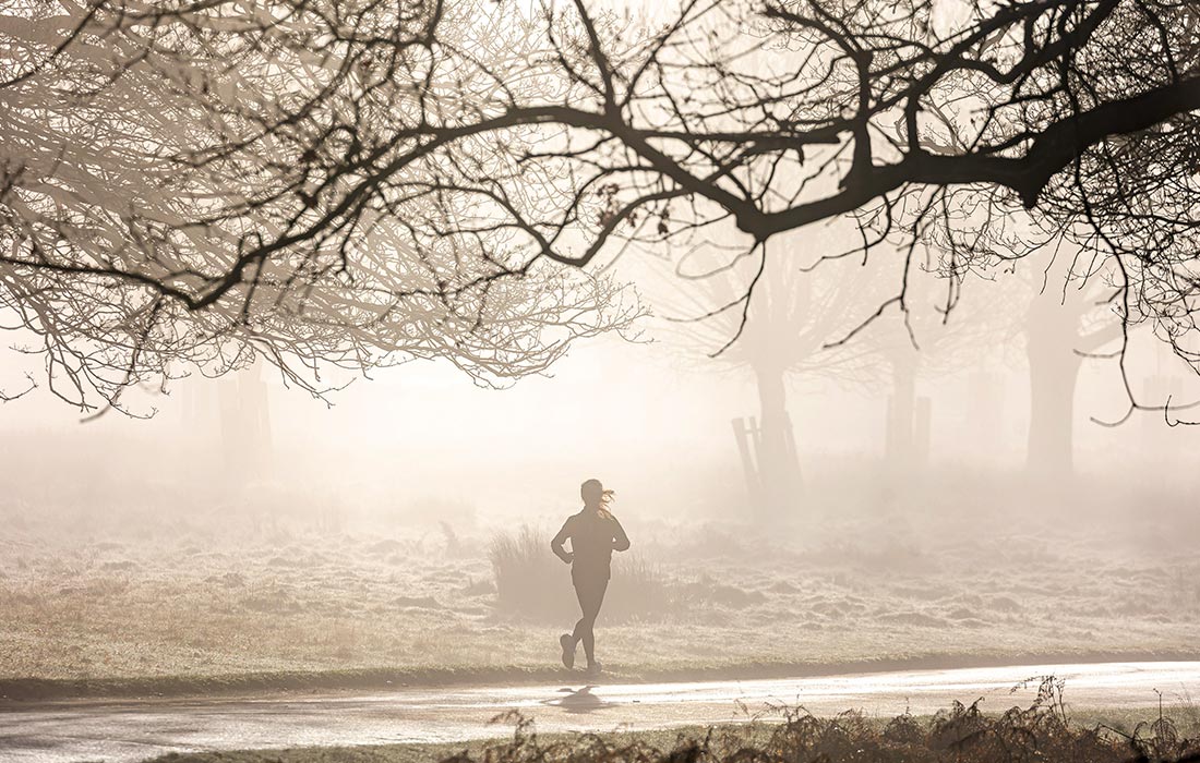 Туманное утро в Ричмонд-парке на юго-западе Лондона