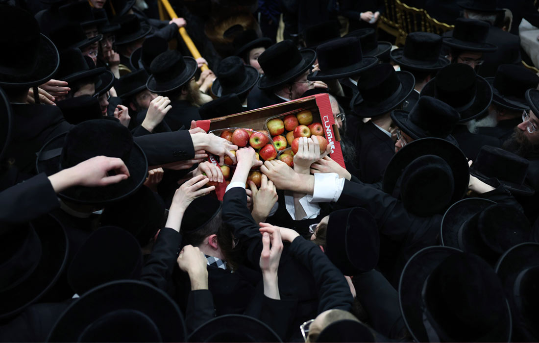 Еврейский праздник Ту би-Шват отмечают в Израиле