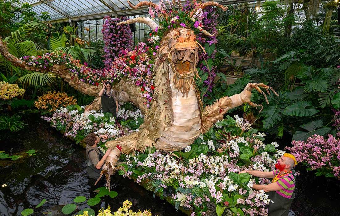 30-й ежегодный фестиваль орхидей в Королевских ботанических садах Кью в Лондоне