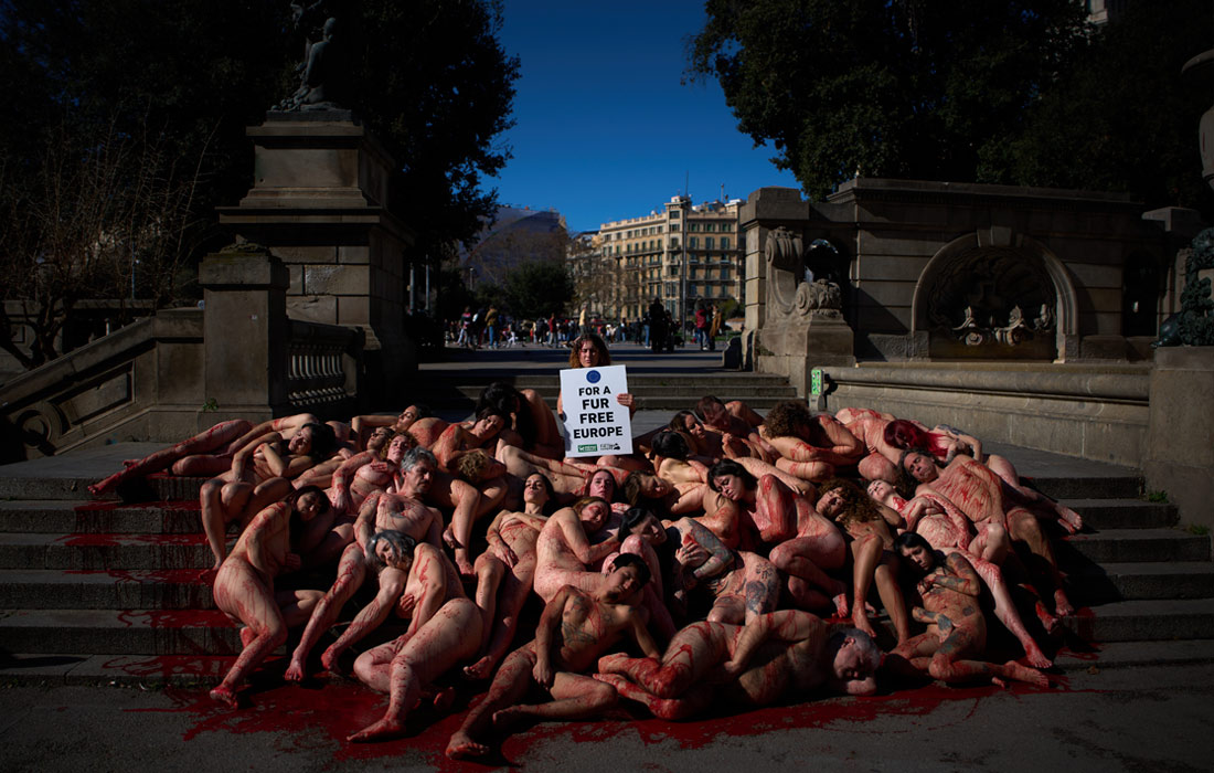 Акция зоозащитников в Барселоне против использования шкур животных