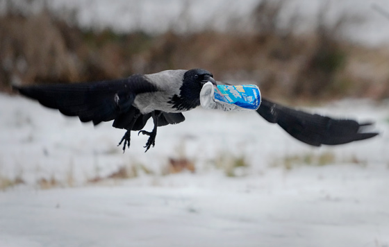 Фотохроника 9 февраля