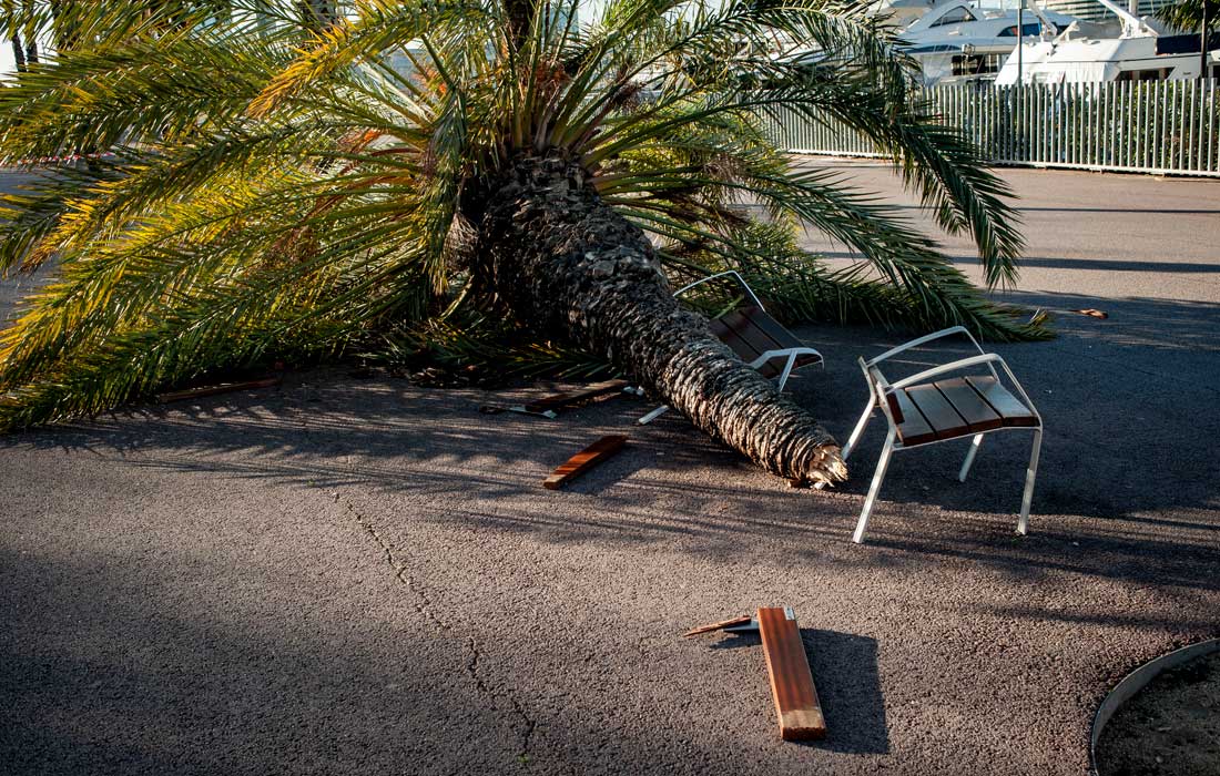 Последствия штормового ветра в Барселоне