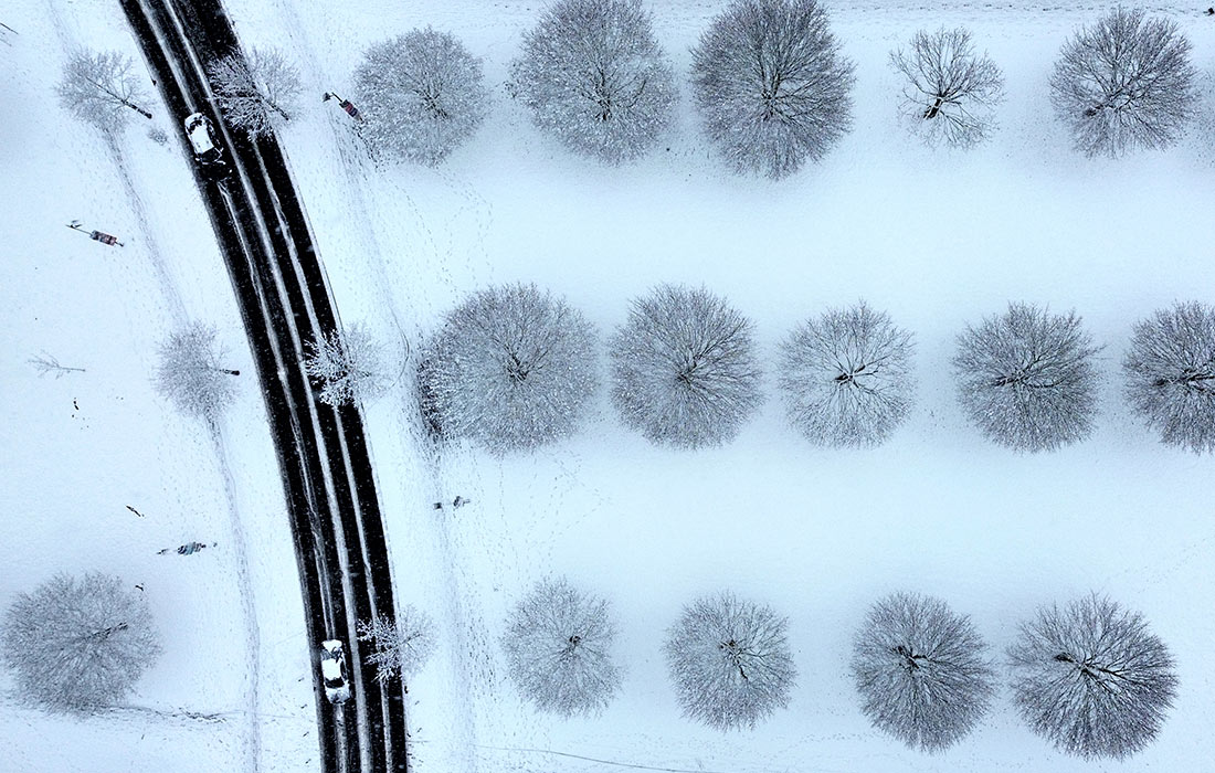 Метель во Франкфурте