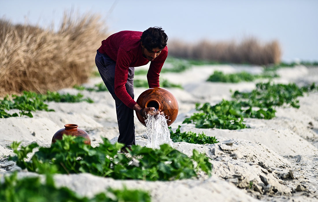 Полив растений у сухого русла реки Ганг в индийском Праяградже