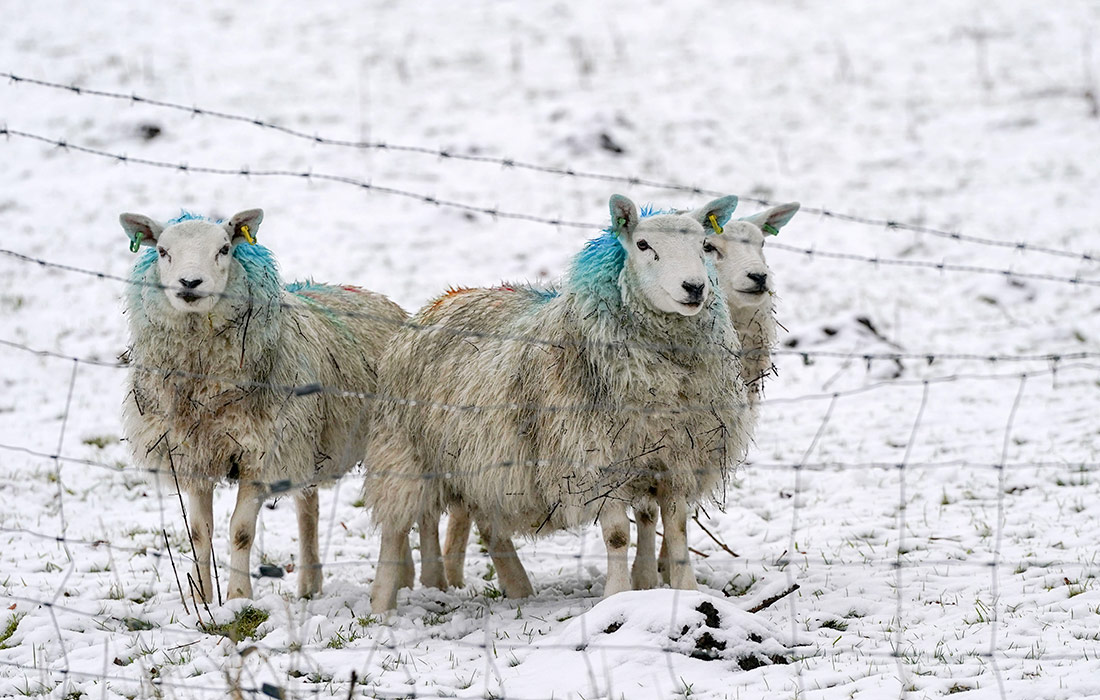 Шторм "Педро" обрушился на Великобританию
