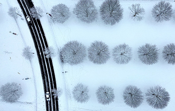 Фотохроника 19 февраля