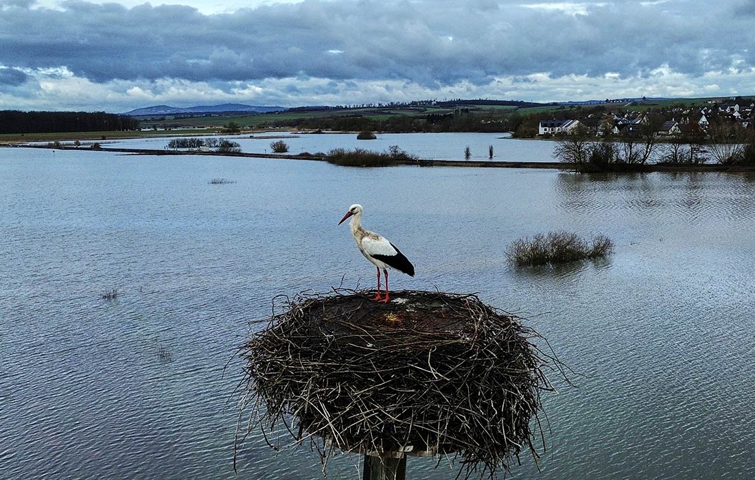 В Германии объявлена угроза локальных наводнений, вызванная сильными дождями и активным таянием снега