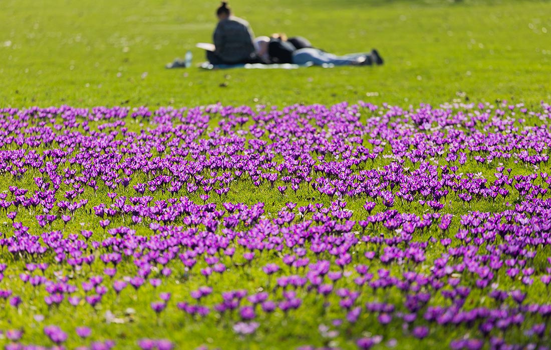 Солнечная погода в Дюссельдорфе