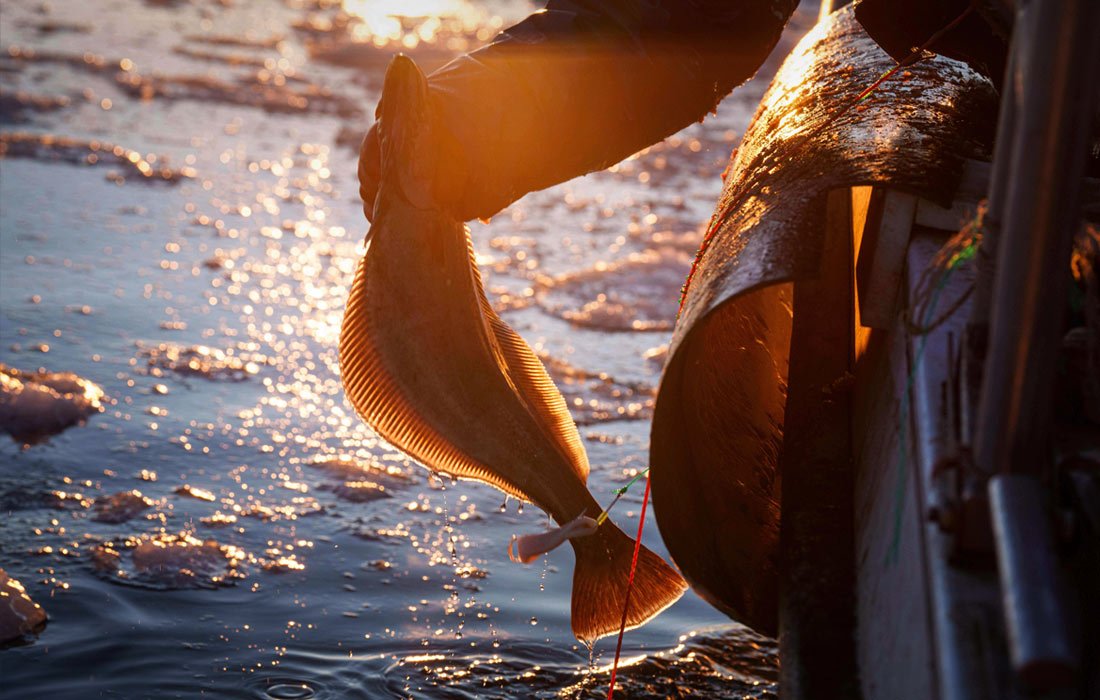 Рыбная ловля в Гренландии