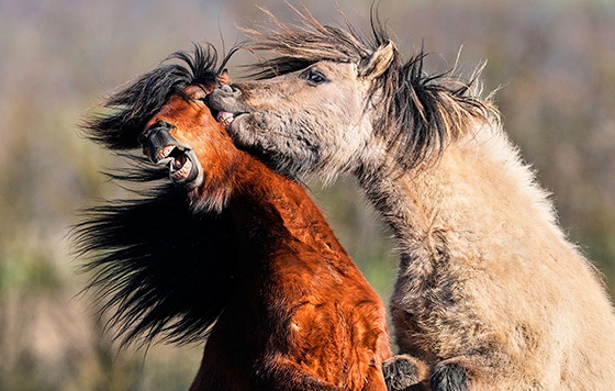 Лучшие фото недели