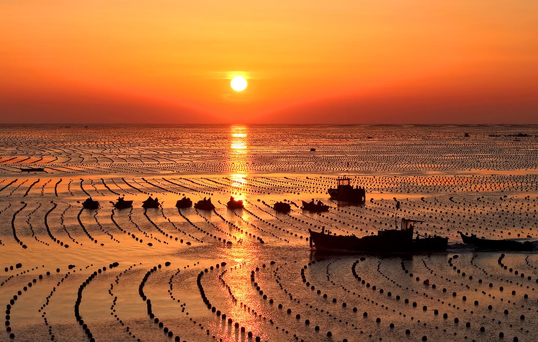 Морская ферма Айлун-Бэй, Китай