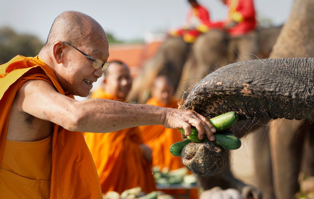 Национальный день слона отмечают в Таиланде