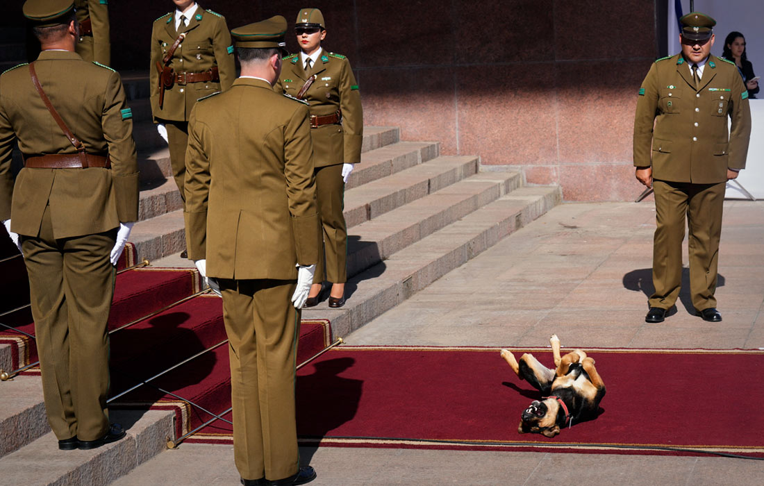 Почетный караул перед началом церемонии инаугурации избранного президента Чили Хосе Антонио Каст