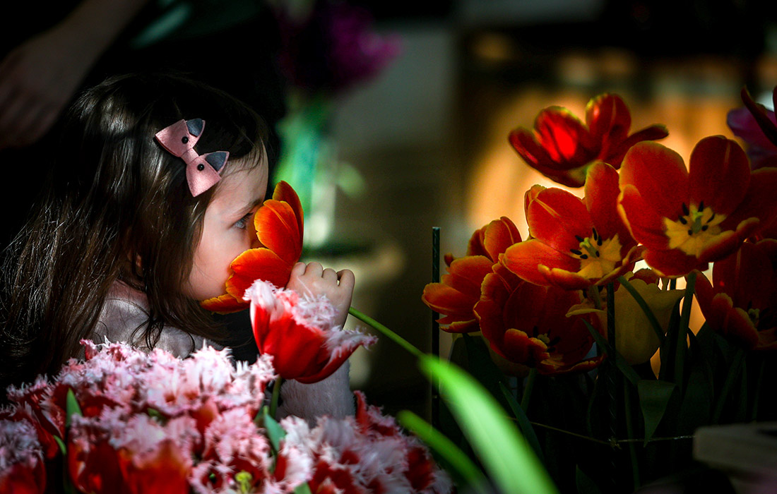 Выставка "Весна в Царицынских оранжереях" в Москве