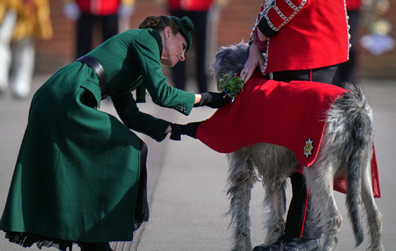 Фотохроника 17 марта