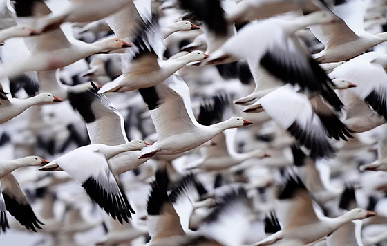 Лучшие фото недели