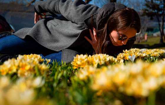 Весна в Москве