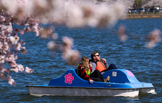 Фотохроника 25 марта