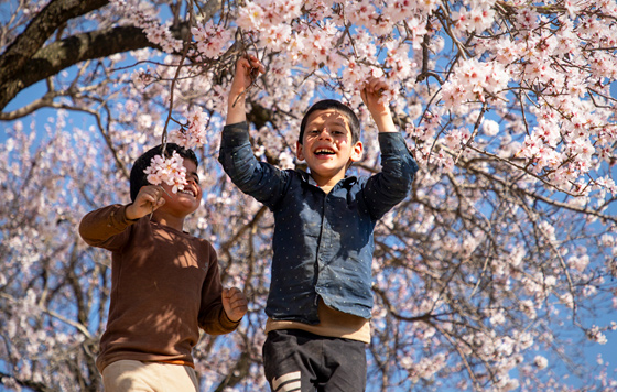 Планета в цвету