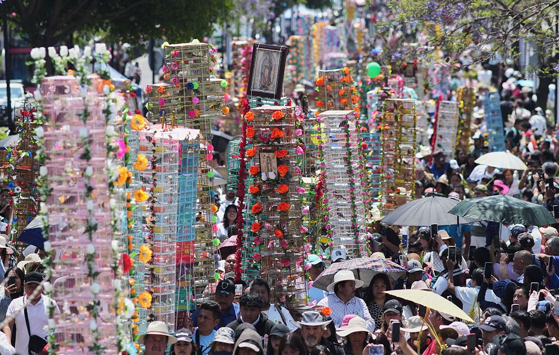 Ежегодное паломничество продавцов птиц к базилике Девы Марии Гваделупской в Мехико