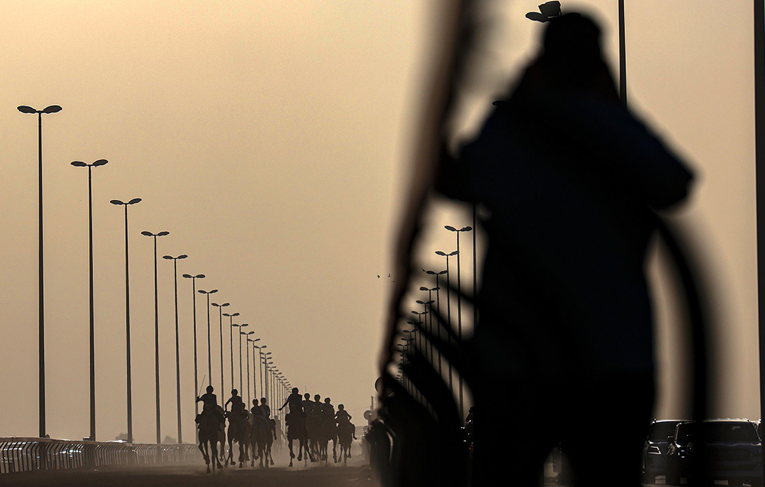 Финал первого в мире женского чемпионата по верблюжьим гонкам в Дубае