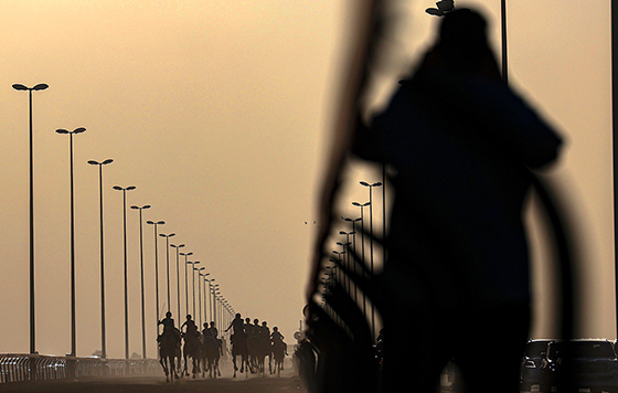 Фотохроника 30 марта