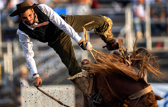 Лучшие фото недели