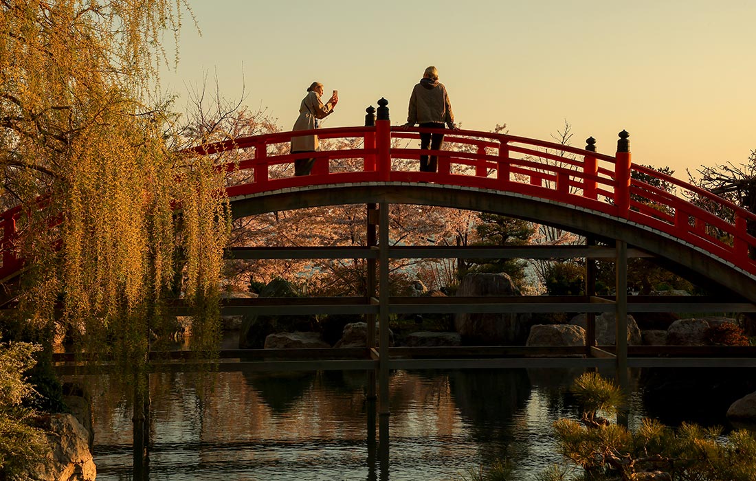 Японский сад "Шесть чувств" в Крыму