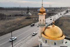 � ��������� ���������� ������ ����� ���� ������ � 31% ���������