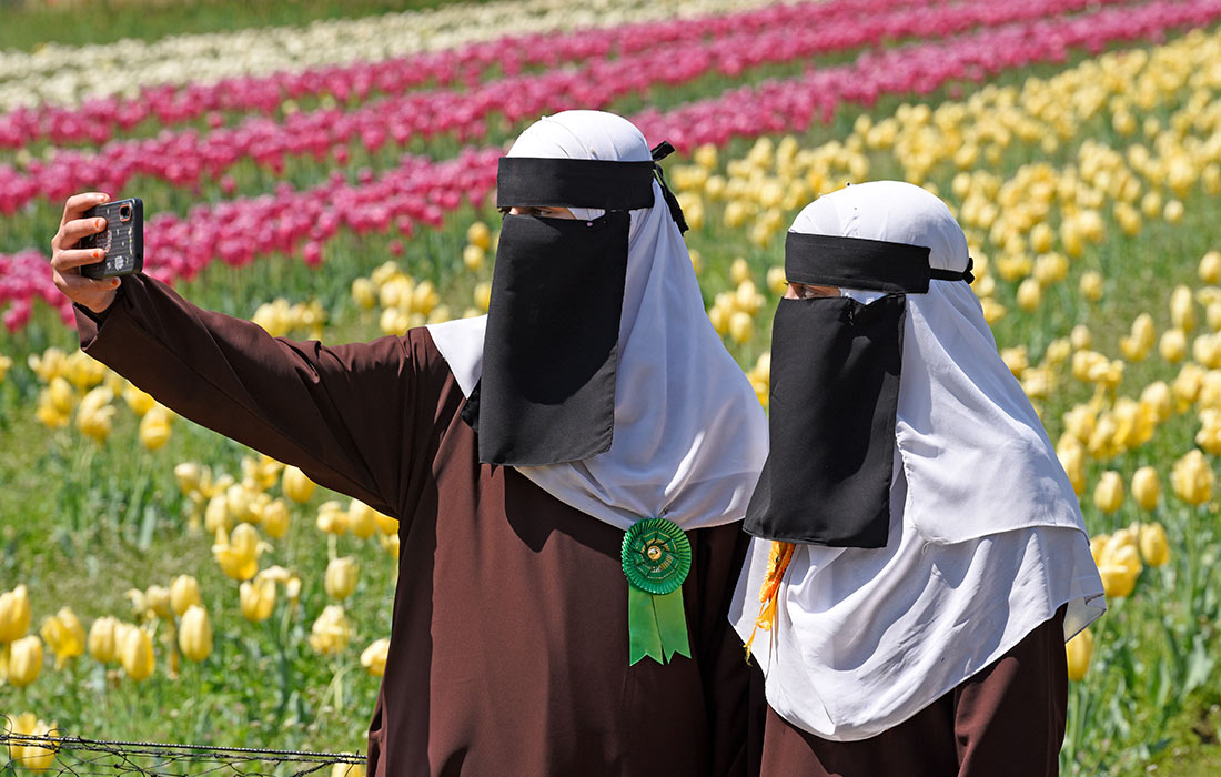 Цветение тюльпанов в индийском Кашмире