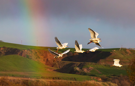 Фотохроника 14 апреля