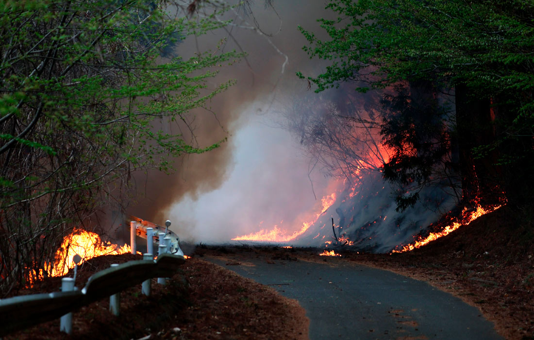 Лесной пожар в префектуре Иватэ на востоке Японии