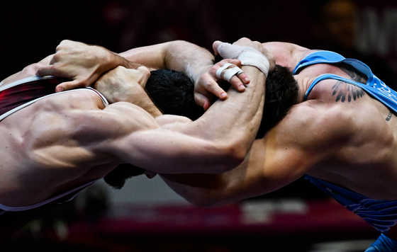 Лучшие фото недели