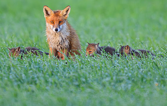 Фотохроника 27 апреля