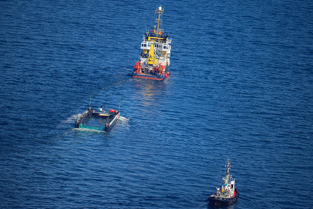 Севшего на мель в Балтийском море кита наконец-то отбуксировали на глубину