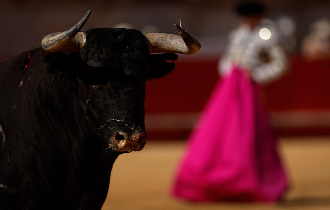 Коррида в Ниме на юге Франции