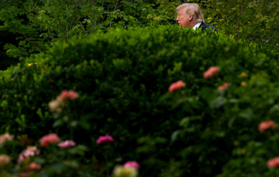 Президент США Дональд Трамп выступил с речью на традиционном ланче в Розовом саду Белого дома