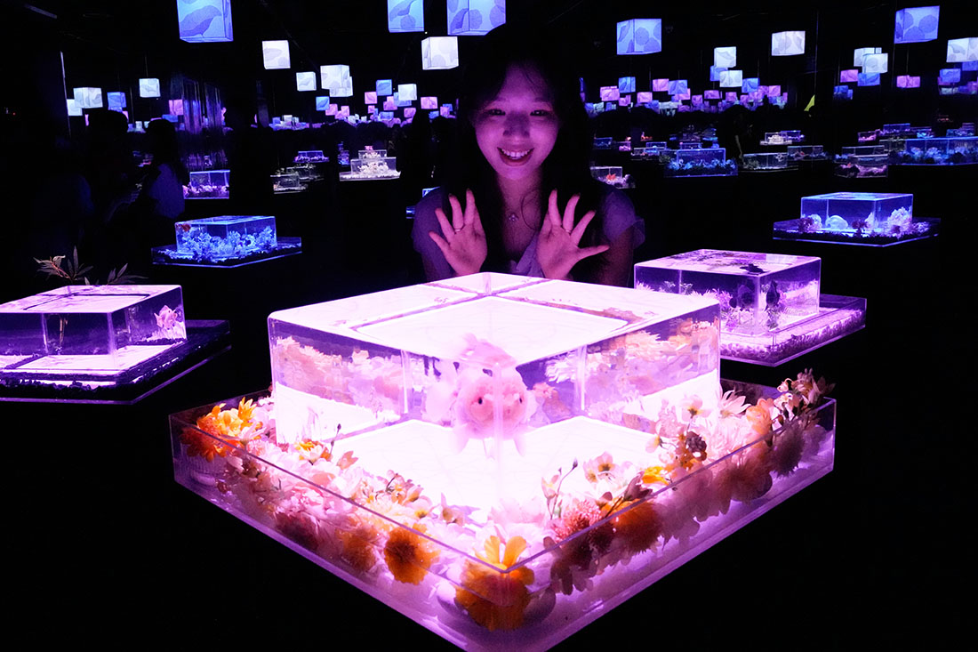 Выставка "Водно-световой сад" в сеульском океанариуме Lotte World Aquarium