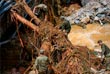 Город Учжишань на острове Хайнань оказался подтоплен в результате проливных дождей