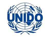 В рамках ПМЭФ состоялась сессия ЮНИДО, посвященная женскому лидерству