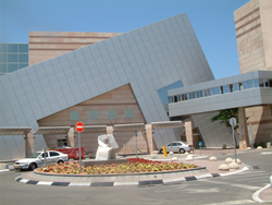 Медицинский центр «Шиба» назвал главные достижения в области онкологии 2012 года