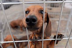 Это просто жизнь