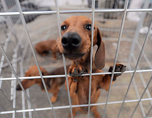 Это просто жизнь