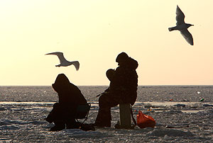 С рыбаков драть не будут