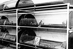 "Точку в деле об убийстве Николая Второго ставить рано"