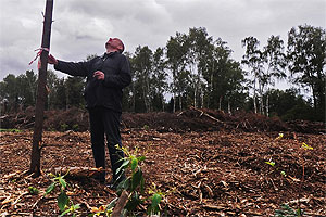 Завидово сменяет Химкинский лес